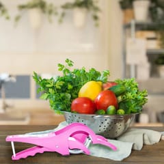 2-in-1 Vegetable and Fruits Cutter/Chopper